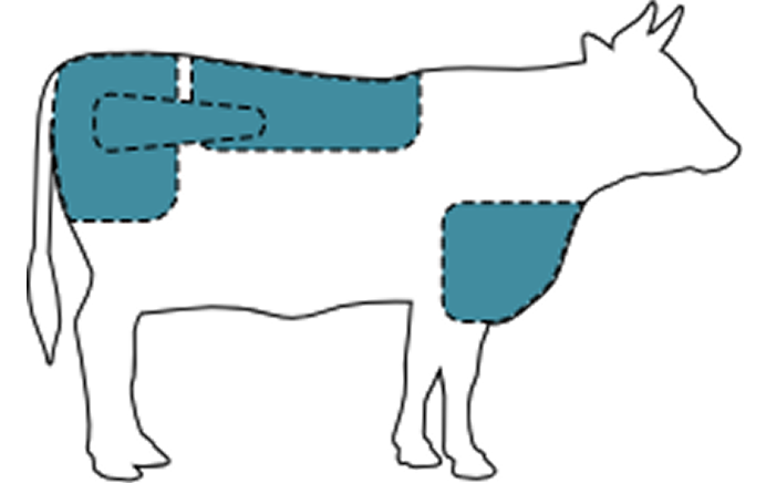 Stukken vlees van de koe